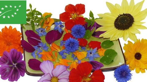 EconSeeds, Longué-Jumelles (49).